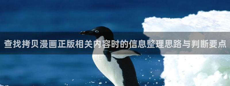 51漫画网站入口